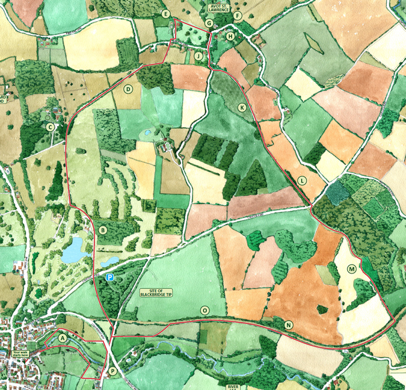 The Romans and Nomansland Trail